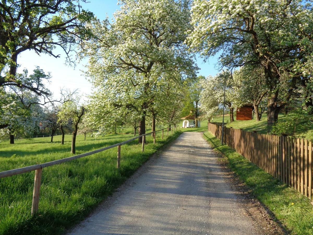 Apartments Himmelreich Ternitz Bagian luar foto